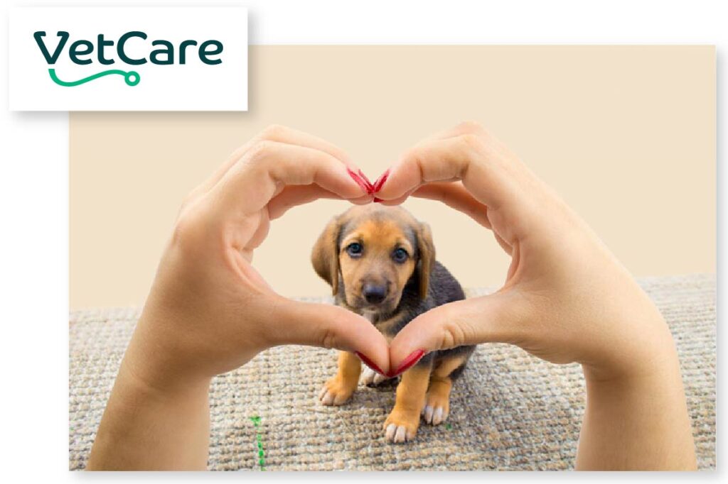 VetCare Show Us Your Heart Campaign