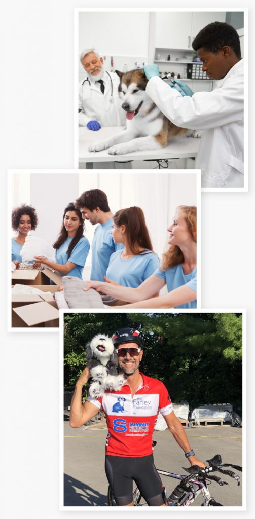 Joining VetCare-Employee Benefits