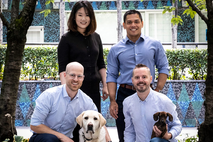 VetCare Corporate Development Team