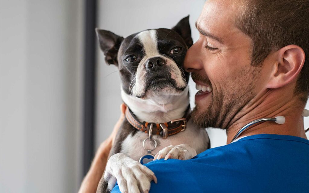 male vet with puppy over shoulder